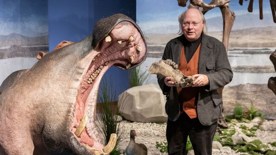Wilfried Rosendahl, Generaldirektor Reiss-Engelhorn-Museen, neben der lebensechten Rekonstruktion eines Flusspferdes in der Ausstellung «Eiszeit-Safari». Foto: Rebecca Kind/rem/dpa/ Flusspferde im Rhein