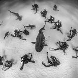 GdT, Mensch und Natur