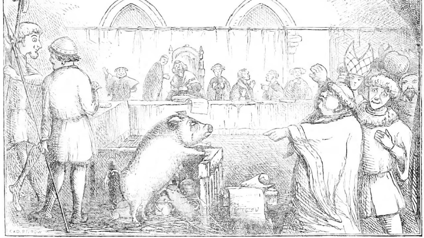 1457 wurde im französischen Lavigny eine Sau angeklagt, ein Kind ermordet zu haben – und schuldig gesprochen. Ob das Schwein aber wirklich in einen Gerichtssaal gebracht wurde, wie diese Illustration aus dem 19. Jahrhundert nahelegt, gilt als fragwürdig