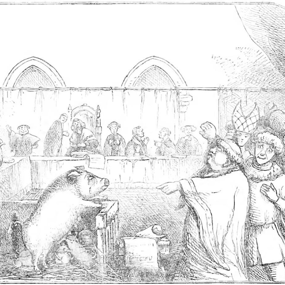 1457 wurde im französischen Lavigny eine Sau angeklagt, ein Kind ermordet zu haben – und schuldig gesprochen. Ob das Schwein aber wirklich in einen Gerichtssaal gebracht wurde, wie diese Illustration aus dem 19. Jahrhundert nahelegt, gilt als fragwürdig