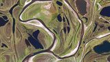 Netzmuster im Permafrost