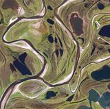 Netzmuster im Permafrost