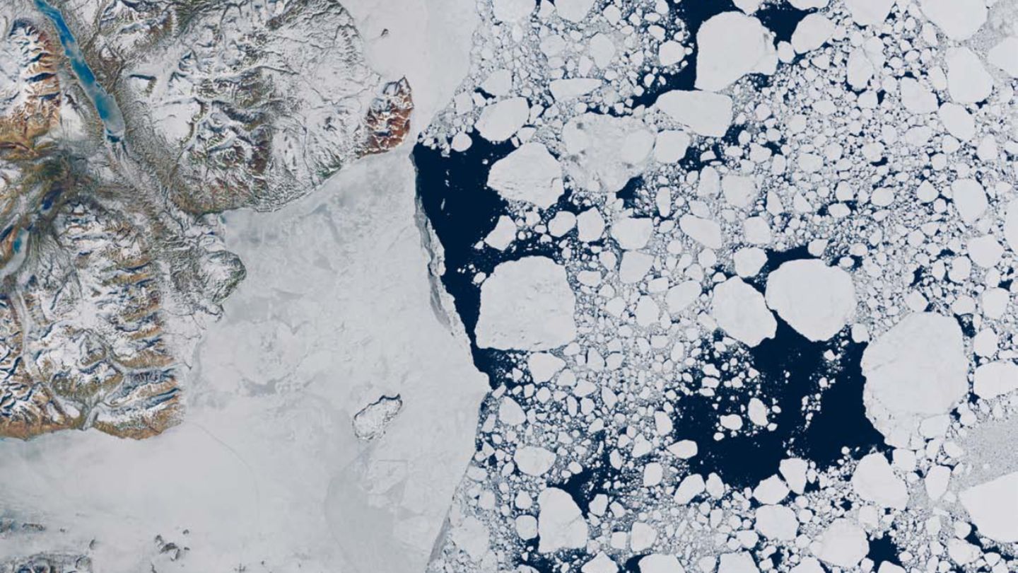Lebensräume schwinden: Anpassen oder ausweichen Zerfallende Eisflächen in der Arktis