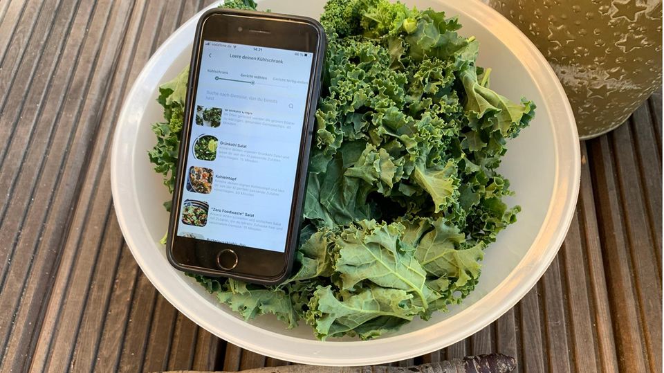 Blick auf die App Plantjammer Blick auf die App Plantjammer
