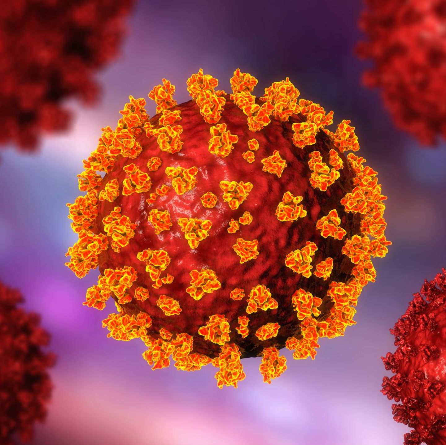 Das Coronavirus trägt zackenartige Proteine auf der Oberfläche. Dadurch kann es in menschliche Zellen eindringen und sich dort vermehren