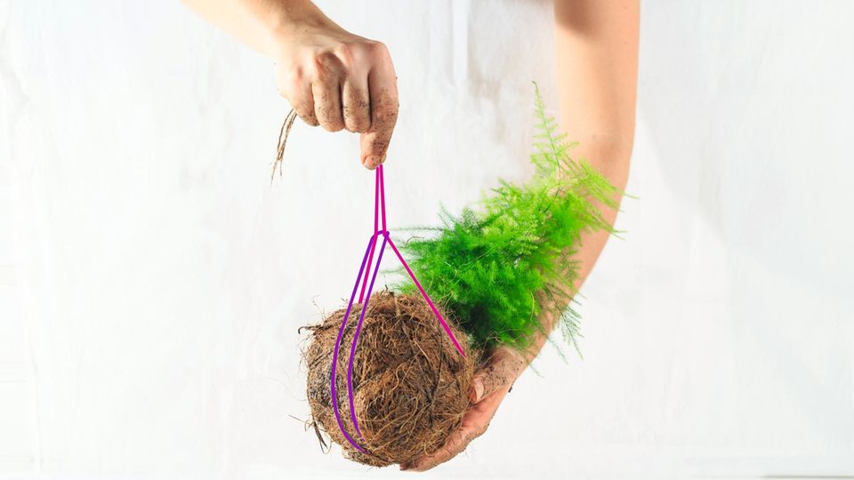 Kokedama: Baut einen Hängegarten für euer Zimmer!