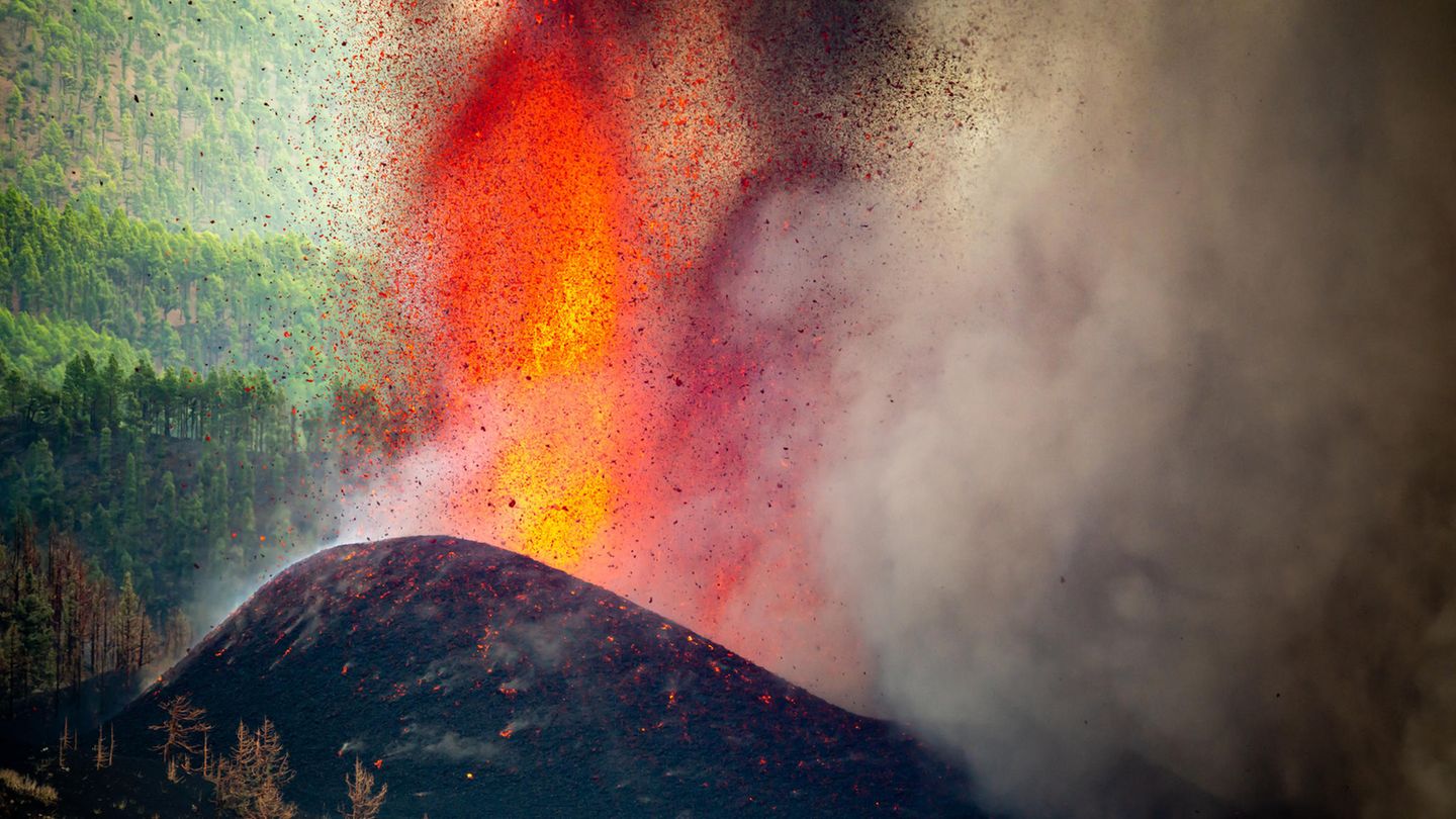 Seit mehr als sechs Wochen spuckt der Vulkan Cumbre Vieja auf La Palma Lava und Asche