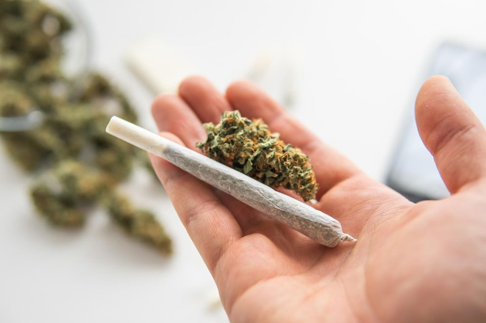 Cannabis: Die Gefahren werden häufig unterschätzt
