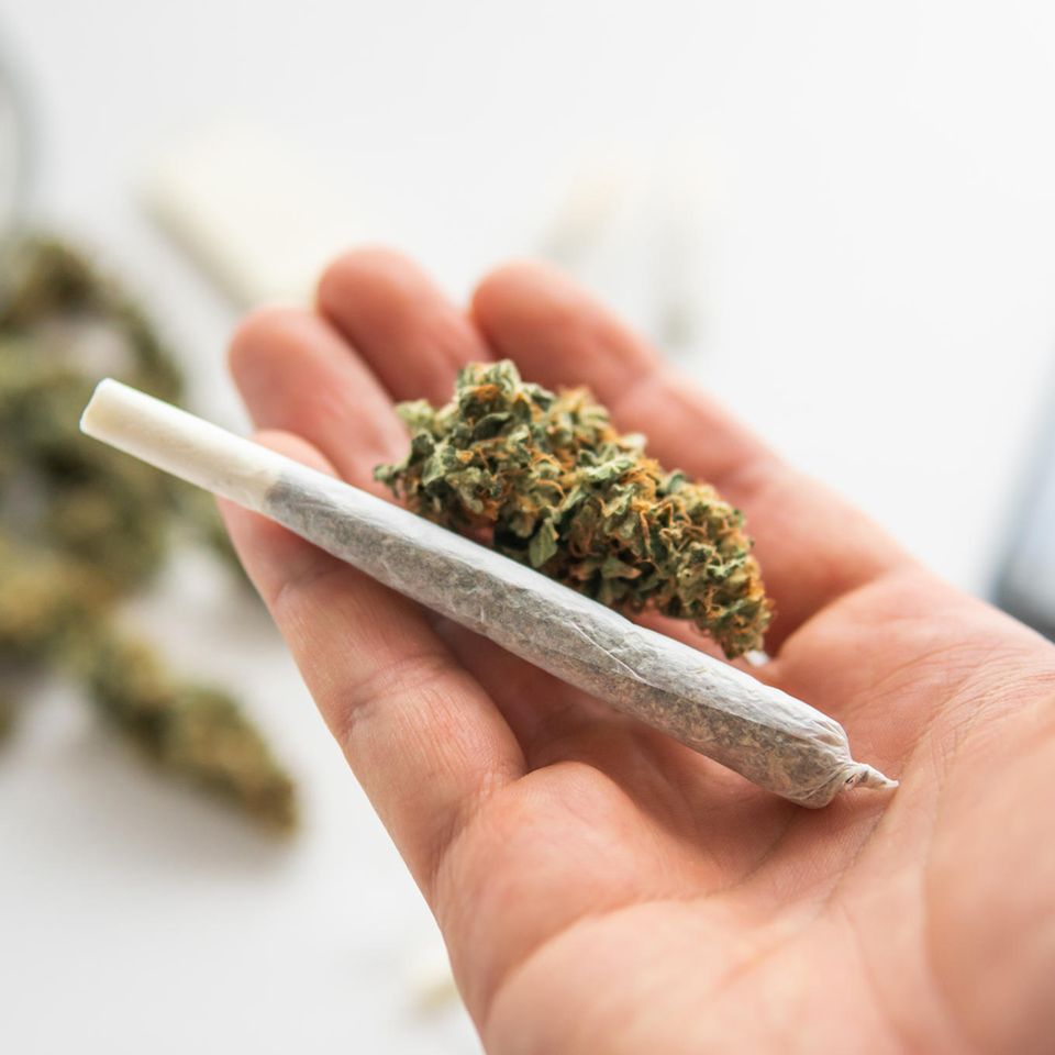 Cannabis: Die Gefahren werden häufig unterschätzt