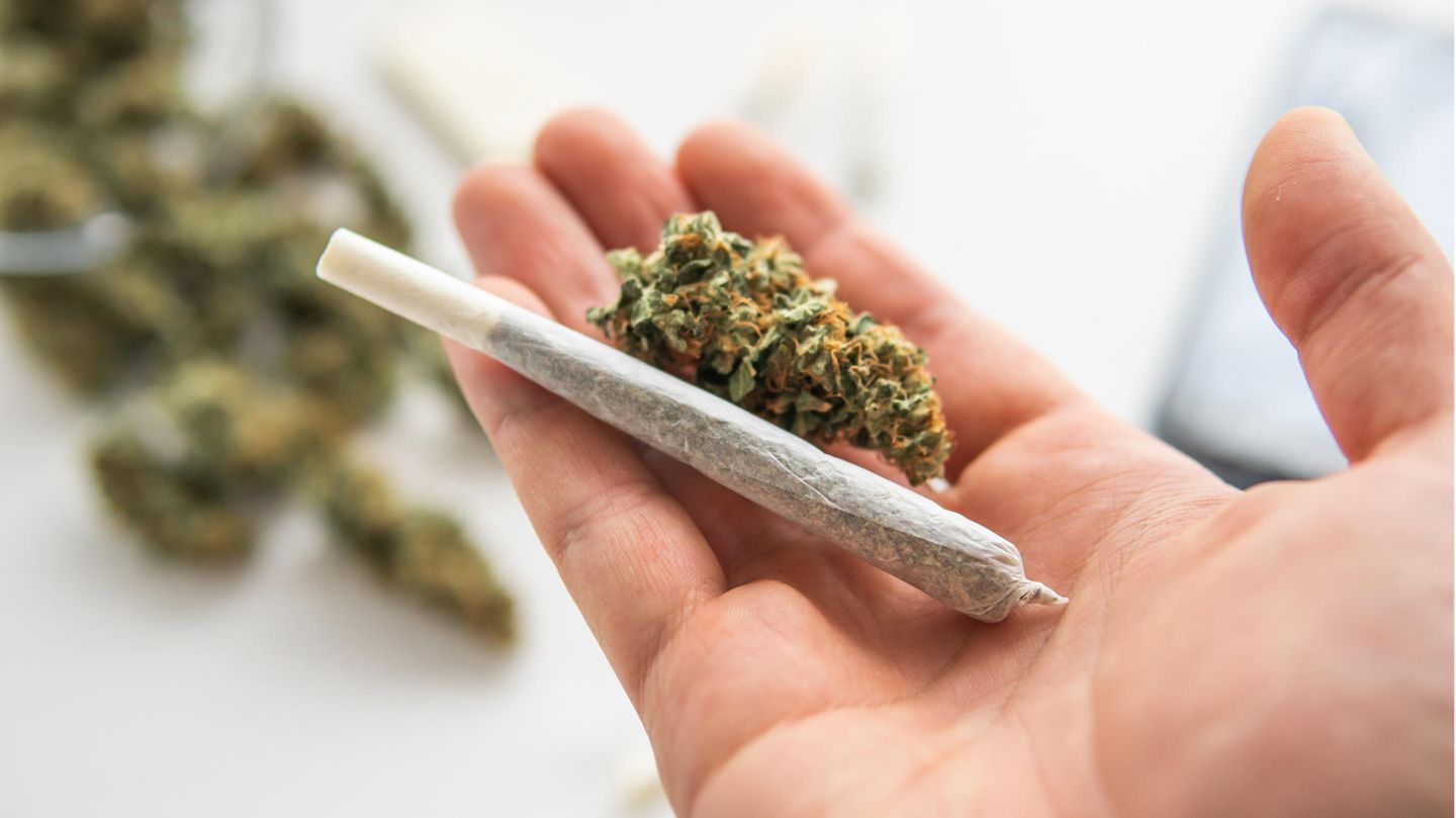 Cannabis: Die Gefahren werden häufig unterschätzt