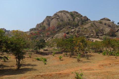Granitoide des Singhbhum-Kratons