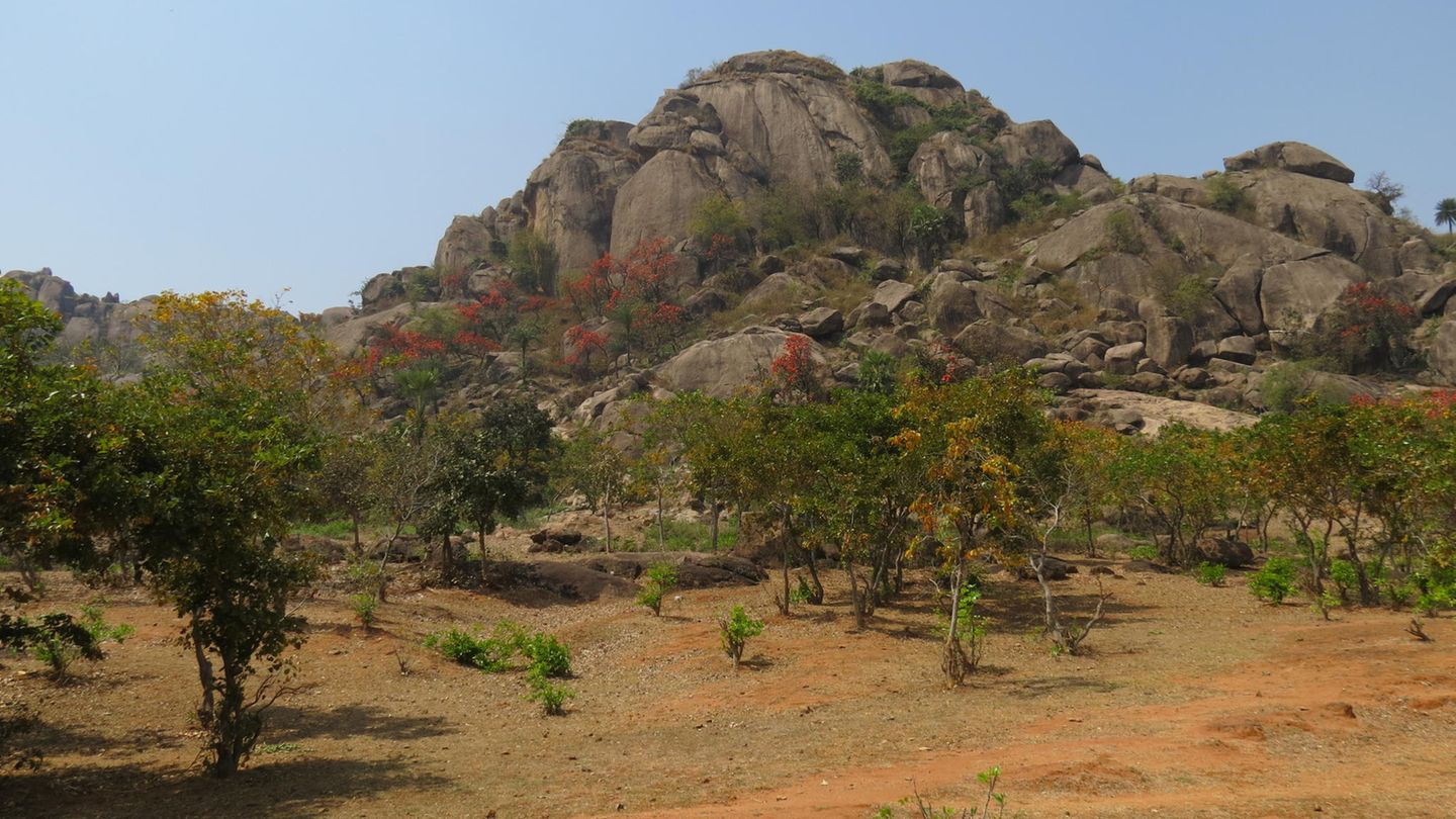 Granitoide des Singhbhum-Kratons