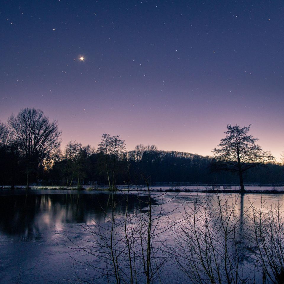 Abendstern Venus