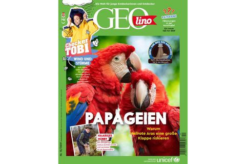 GEOlino Magazin: Papageien