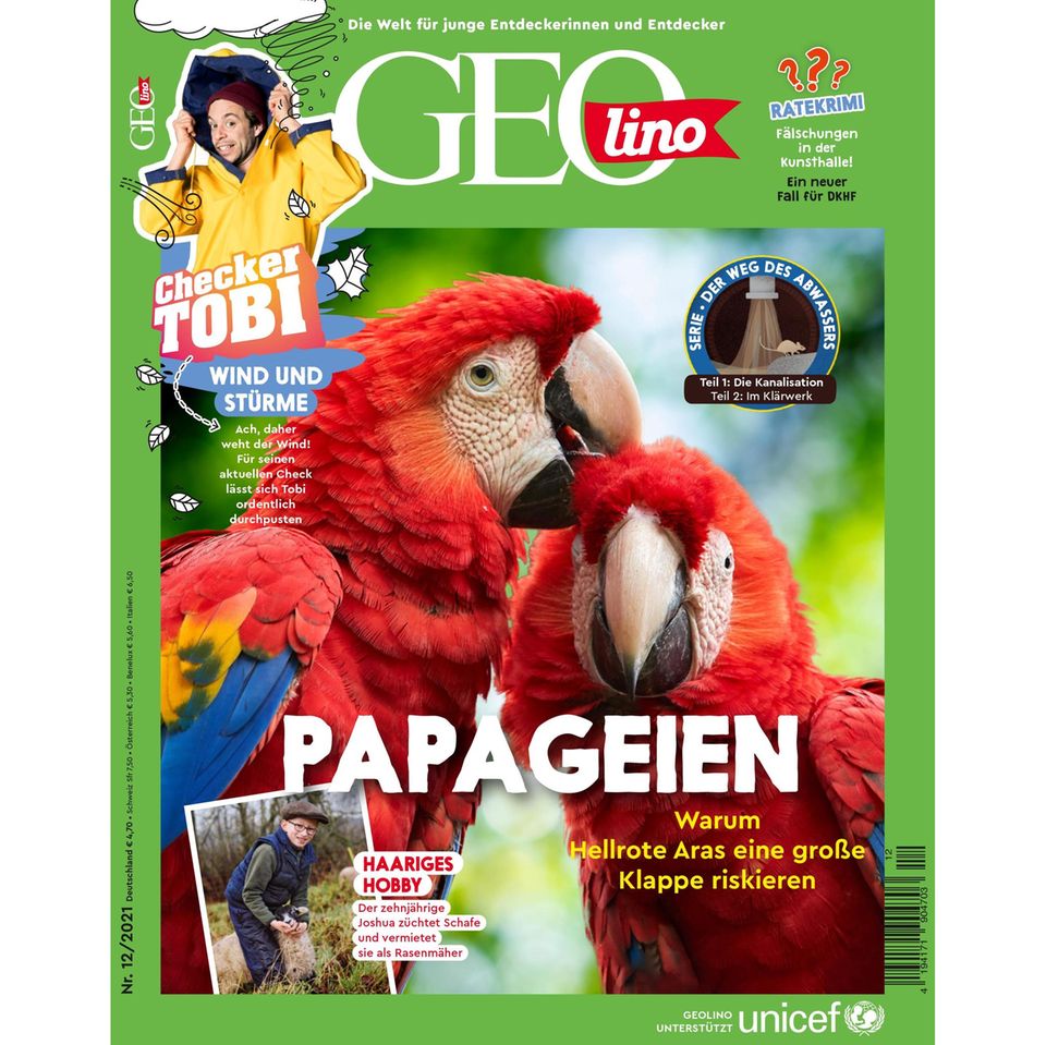 GEOlino Magazin: Papageien