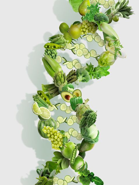 Individuelle Ernährung: Was ist das ideale Essen für mich? Neue Analyse-Methoden liefern Antworten