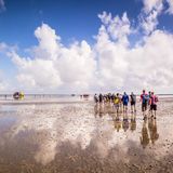 Wanderer im Wattenmeer bei Sonnenschein