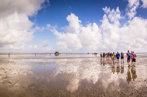 Wanderer im Wattenmeer bei Sonnenschein