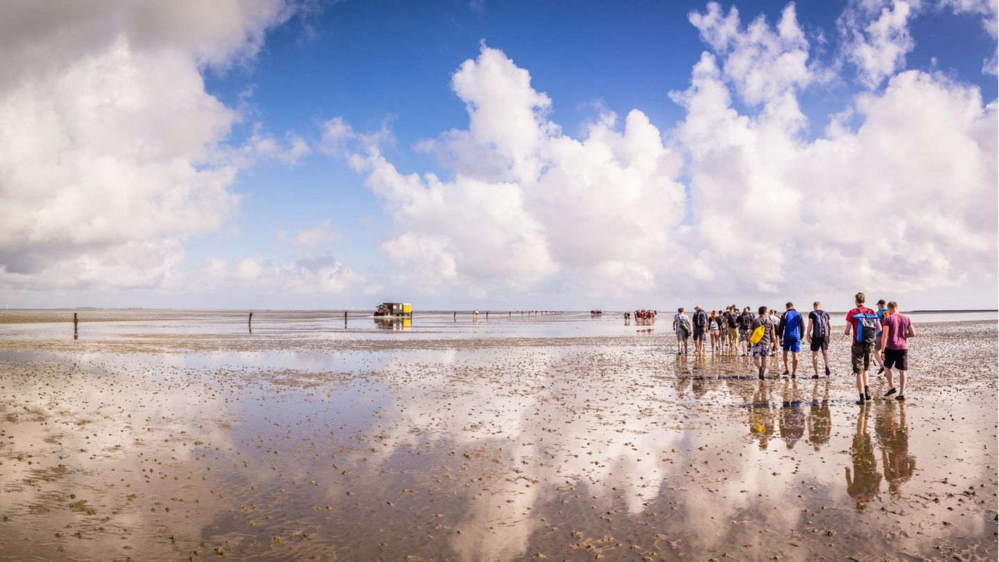Weltnaturerbe Schleswig-Holsteinisches Wattenmeer Wanderer im Wattenmeer bei Sonnenschein