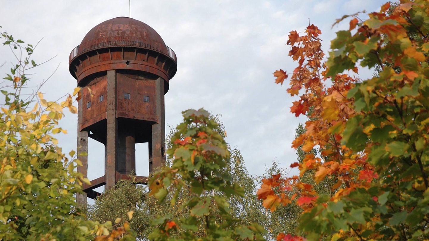 Industrie udn Grün im Naturpark Schöneberger Südgelände
