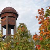 Industrie udn Grün im Naturpark Schöneberger Südgelände