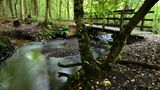 Kleine Brücke im Rodenbeker Quellental
