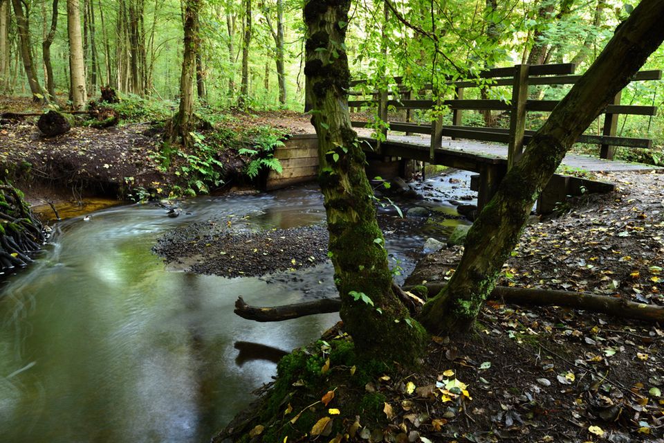 Natur pur in den zehn größten Städten Deutschlands - [GEO]