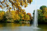 Fontäne im Stadtwald Köln vor Bäumen im Herbstlaub
