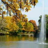 Fontäne im Stadtwald Köln vor Bäumen im Herbstlaub