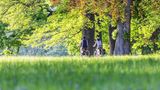 Radfahrer*innen im Rosensteinpark in Stuttgart im Herbst