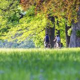 Radfahrer*innen im Rosensteinpark in Stuttgart im Herbst