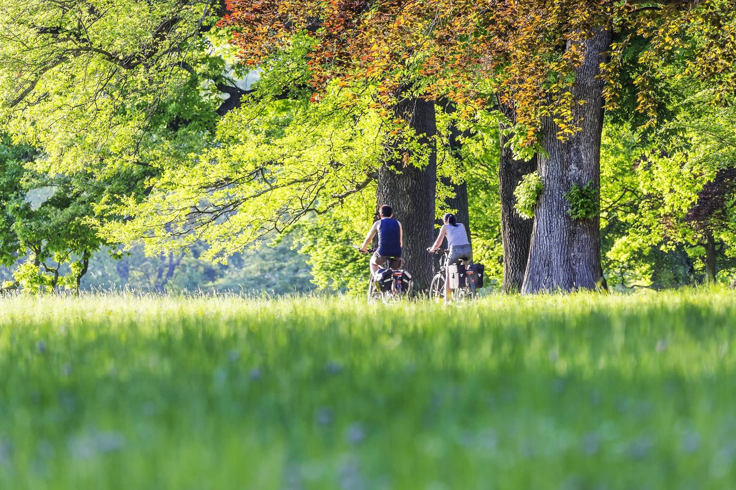 Stuttgart, Rosensteinpark Radfahrer*innen im Rosensteinpark in Stuttgart im Herbst