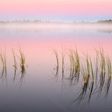 Øvre- Pasvik -Nationalpark in Norwegen