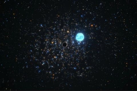 Schwarzes Loch in NGC 1850