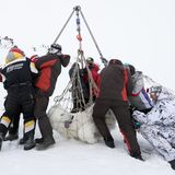 Archangelsk, Russland: Forscher wiegen einen betäubten Eisbären, um die Auswirkungen des Klimawandels zu verstehen