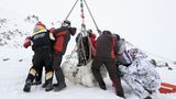 Archangelsk, Russland: Forscher wiegen einen betäubten Eisbären, um die Auswirkungen des Klimawandels zu verstehen