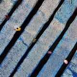 Bangladesch: Tausende von Fischen werden zum Trocknen ausgelegt