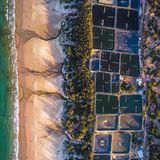 Vietnam: Abwässer von Aquakulturen an der Küste fließen über den Strand direkt ins Meer