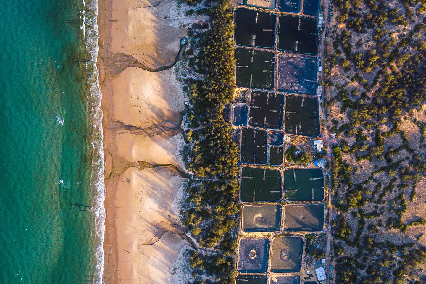 Vietnam: Abwässer von Aquakulturen an der Küste fließen über den Strand direkt ins Meer