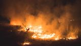 Indien: Ein Waldbrand wütet in der Nähe von Delhi