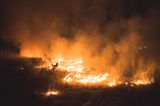 Indien: Ein Waldbrand wütet in der Nähe von Delhi