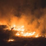 Indien: Ein Waldbrand wütet in der Nähe von Delhi