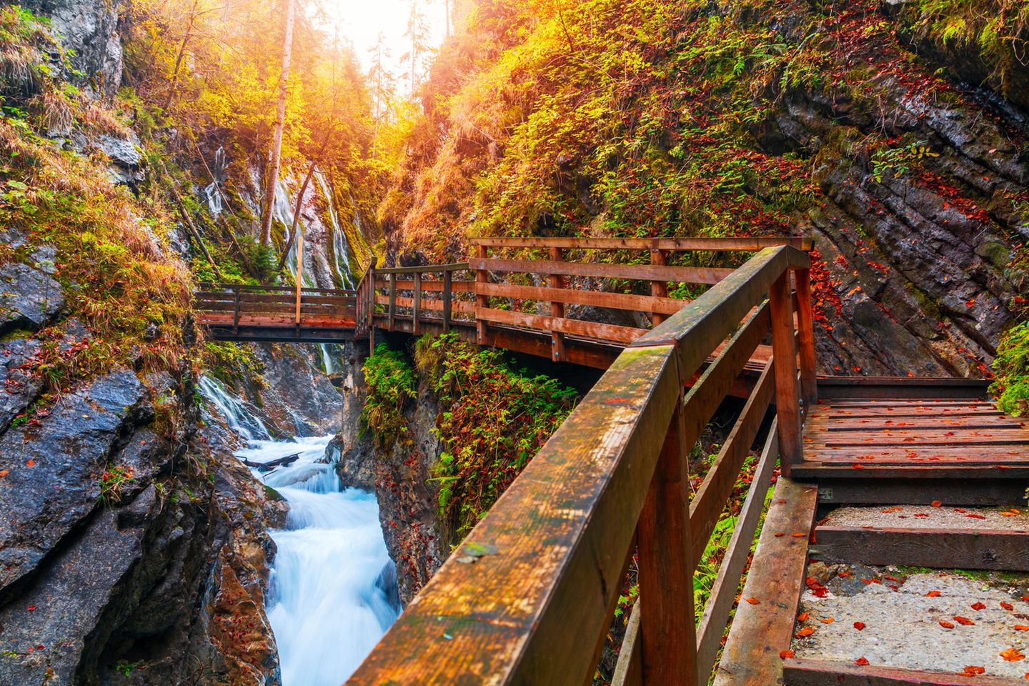 Eine Schluchtenwanderung unternehmen Wanderweg durch eine Schlucht im Herbst