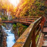 Wanderweg durch eine Schlucht im Herbst