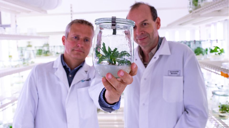 Christian Schulze Gronover (l.) und Dirk Prüfer (r.) Christian Schulze Gronover (l.) und Dirk Prüfer (r.)