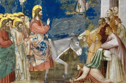 Vermutlich im Frühling des Jahres 30 zieht Jesus nach Jerusalem, ins Zentrum der Macht und des jüdischen Glaubens. Die Begleiter jedenfalls sehen den auf einem Esel Einreitenden bereits als "Messias", den Erlöser