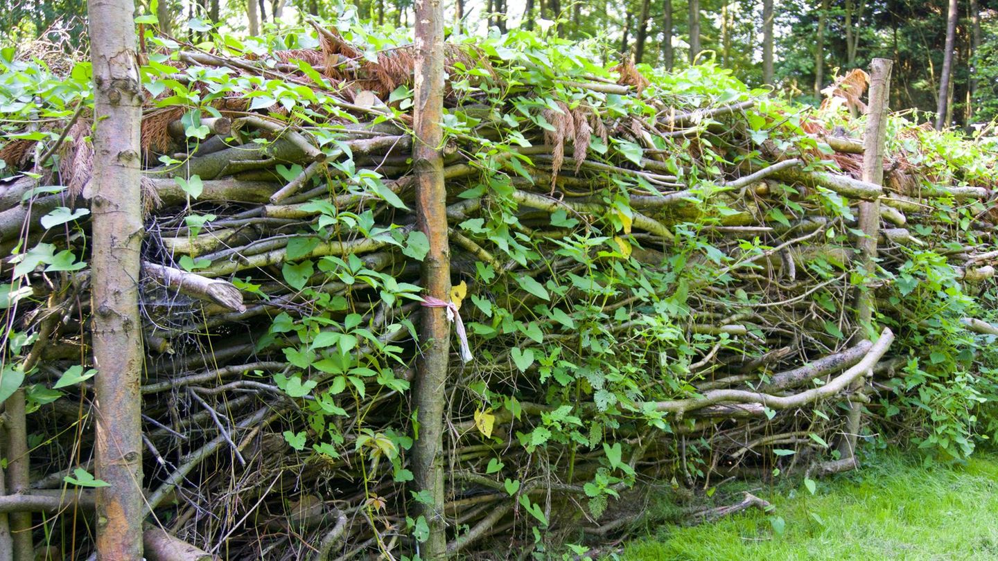Benjeshecken lassen sich nutzen, um mit "Abfällen" den Garten zu strukturieren