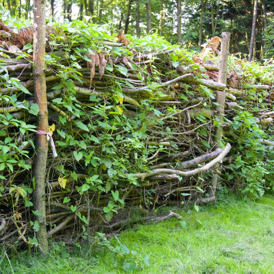 Benjeshecken lassen sich nutzen, um mit "Abfällen" den Garten zu strukturieren