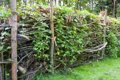 Benjeshecken lassen sich nutzen, um mit "Abfällen" den Garten zu strukturieren