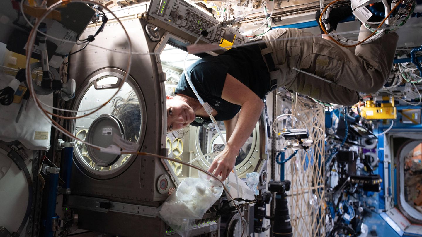 NASA-Astronautin Megan McArthur  auf der ISS